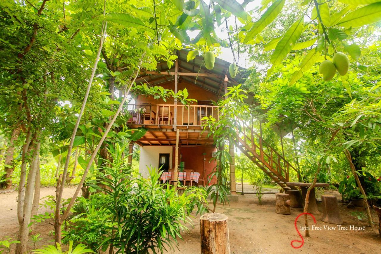 Sigiriya Free View Tree House & Villa المظهر الخارجي الصورة