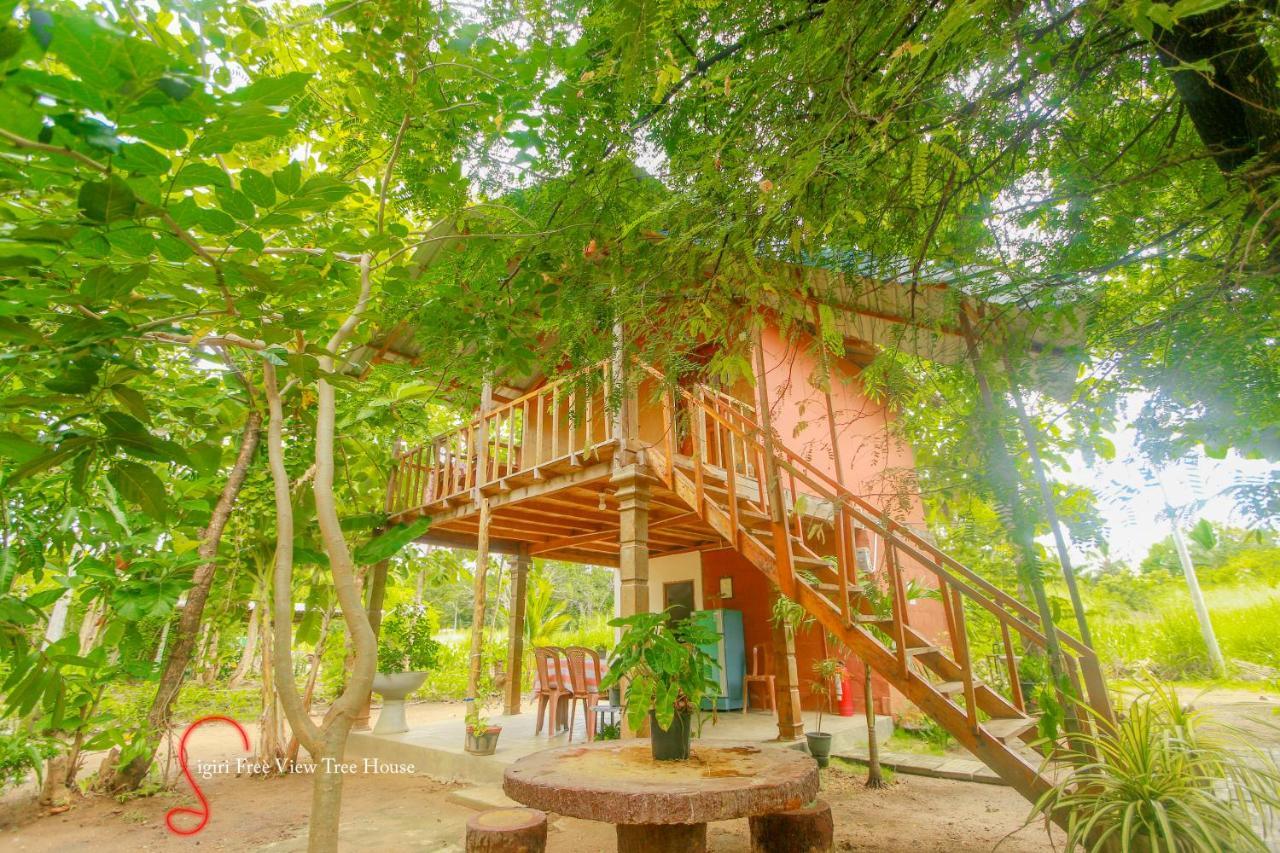 Sigiriya Free View Tree House & Villa المظهر الخارجي الصورة