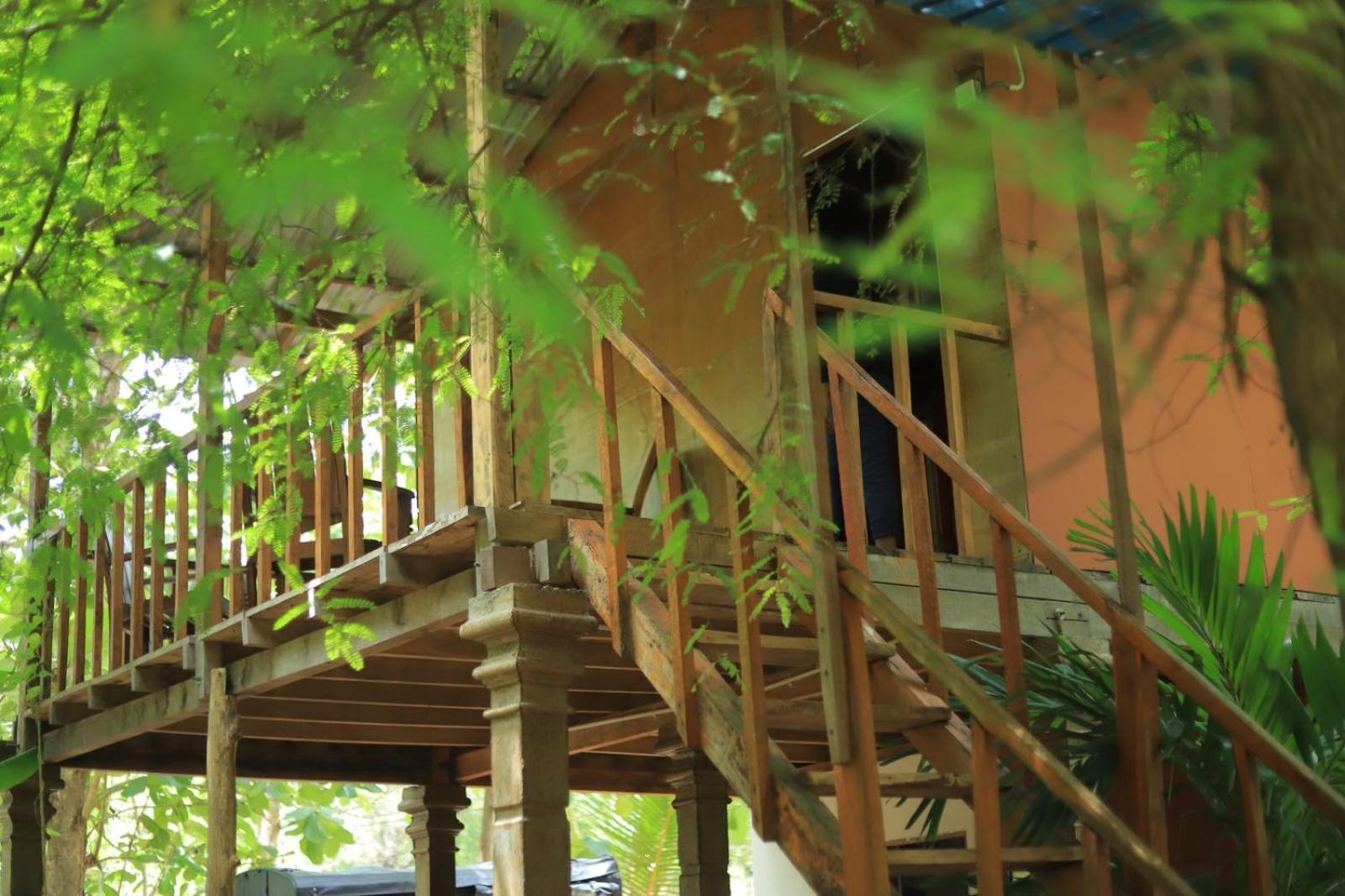 Sigiriya Free View Tree House & Villa المظهر الخارجي الصورة