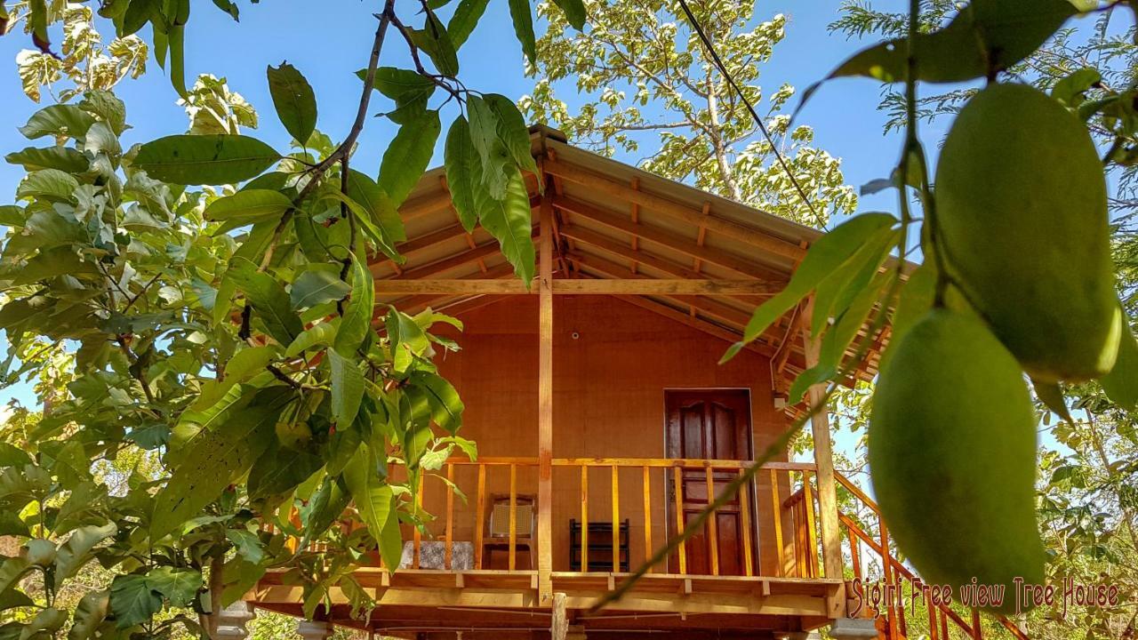 Sigiriya Free View Tree House & Villa المظهر الخارجي الصورة