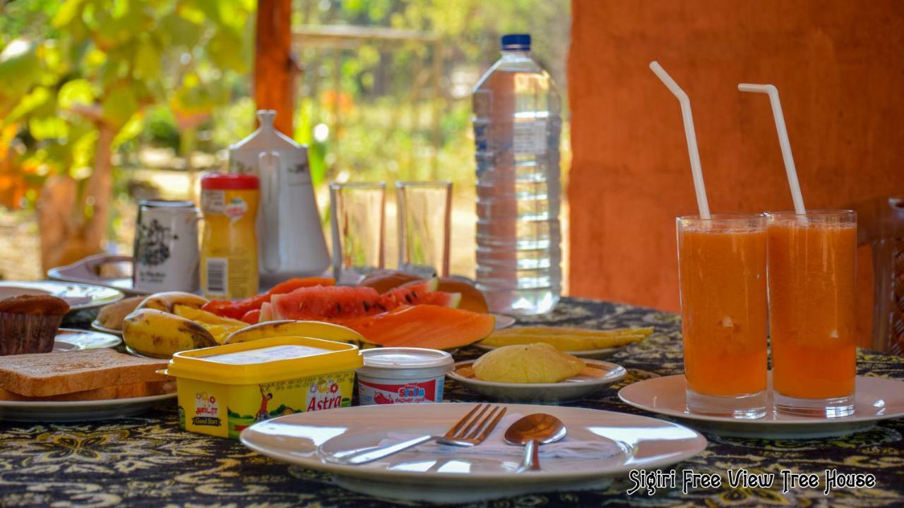 Sigiriya Free View Tree House & Villa المظهر الخارجي الصورة