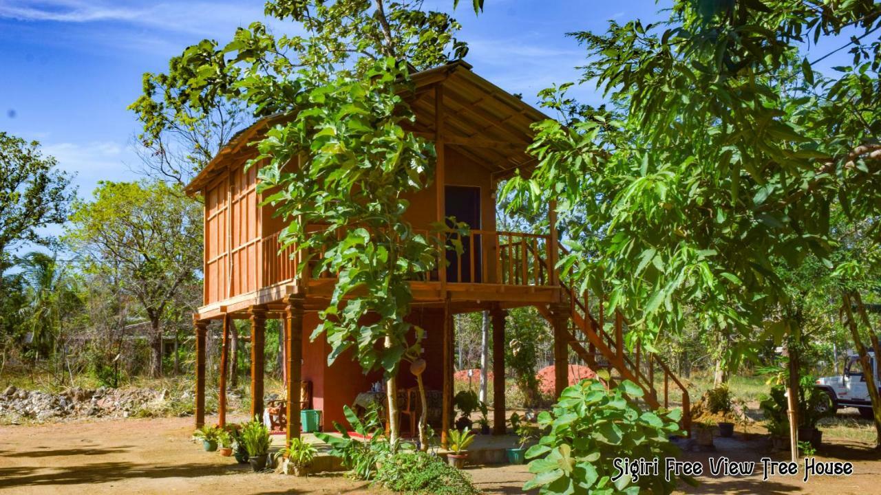 Sigiriya Free View Tree House & Villa المظهر الخارجي الصورة