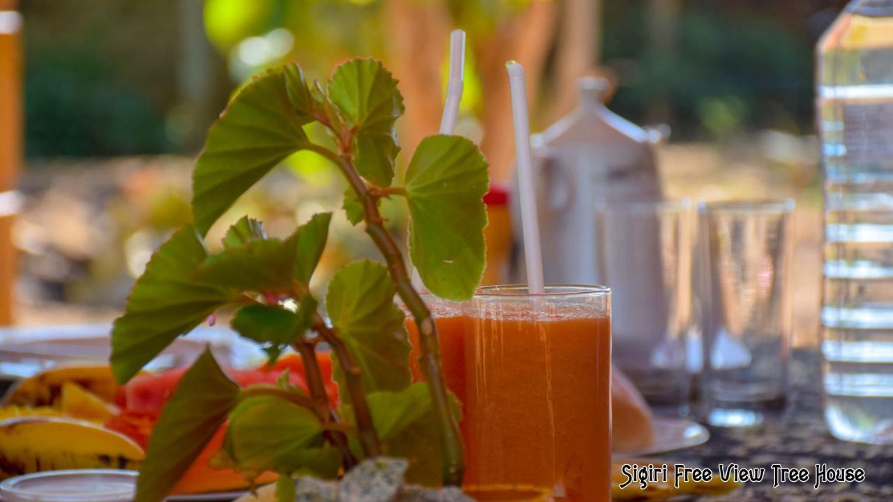 Sigiriya Free View Tree House & Villa المظهر الخارجي الصورة