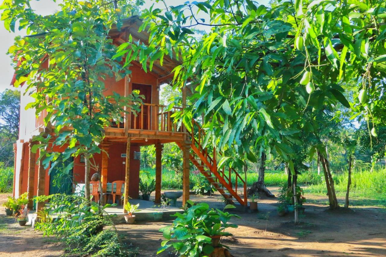 Sigiriya Free View Tree House & Villa المظهر الخارجي الصورة