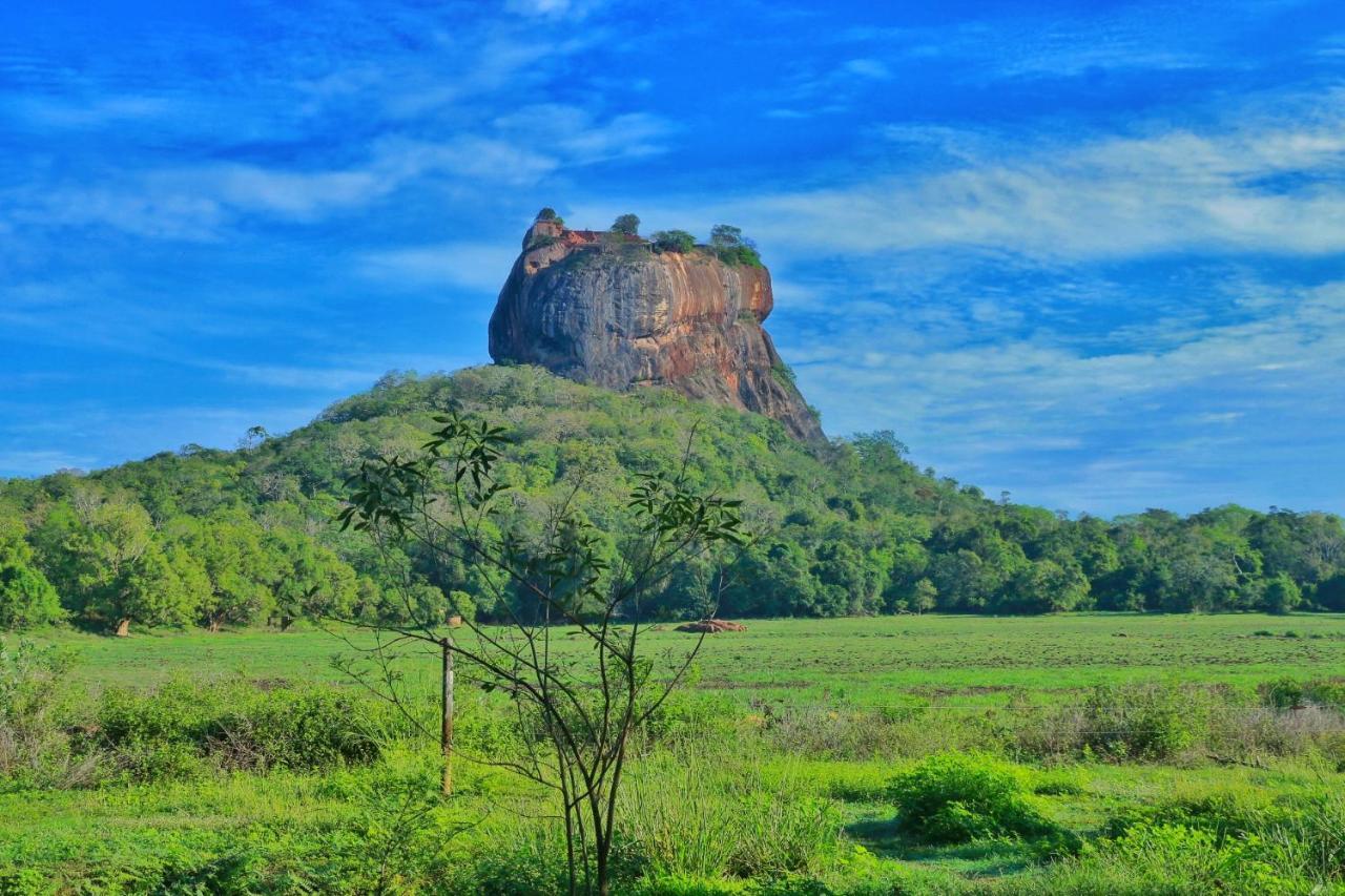 Sigiriya Free View Tree House & Villa المظهر الخارجي الصورة