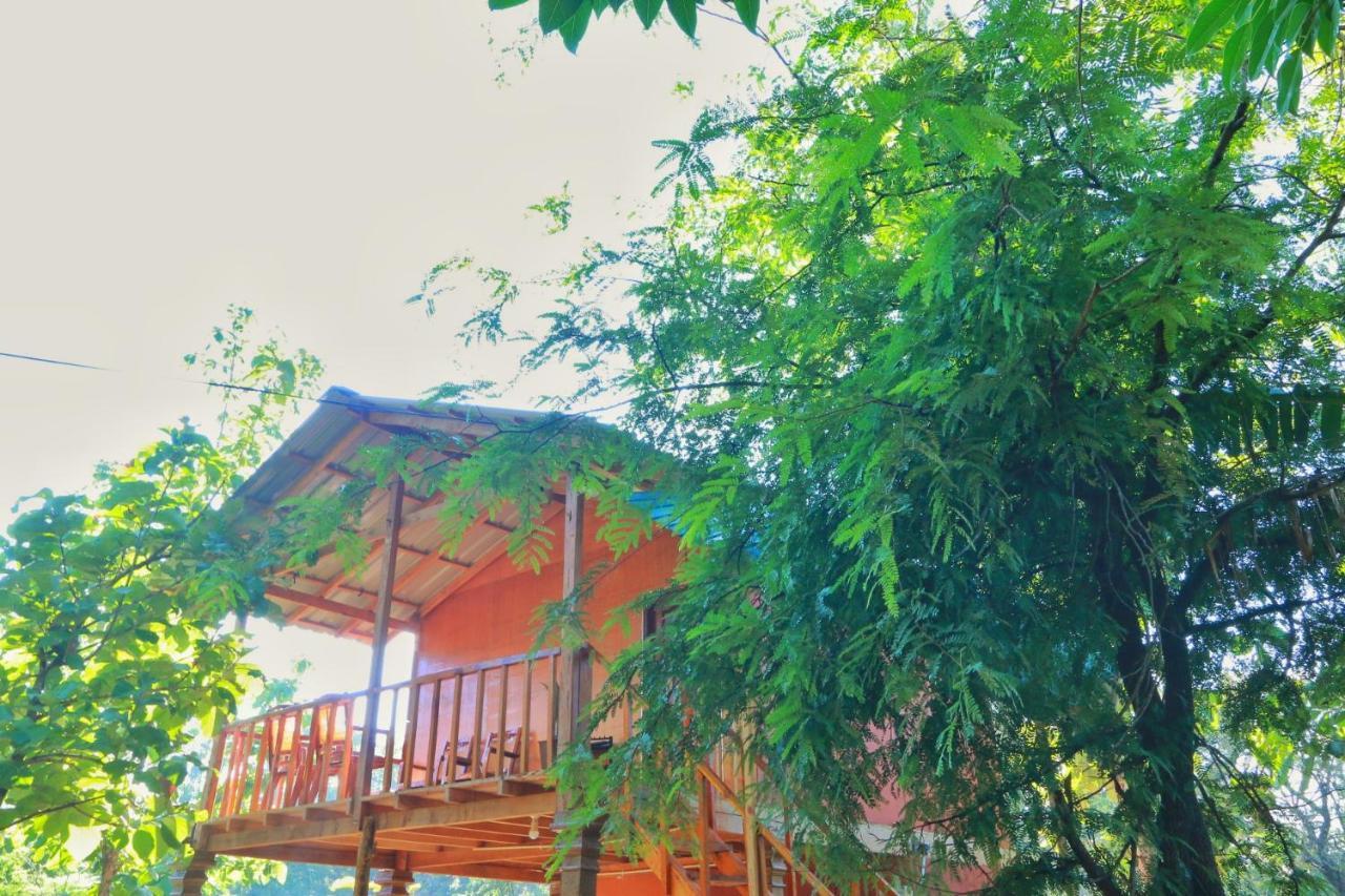 Sigiriya Free View Tree House & Villa المظهر الخارجي الصورة