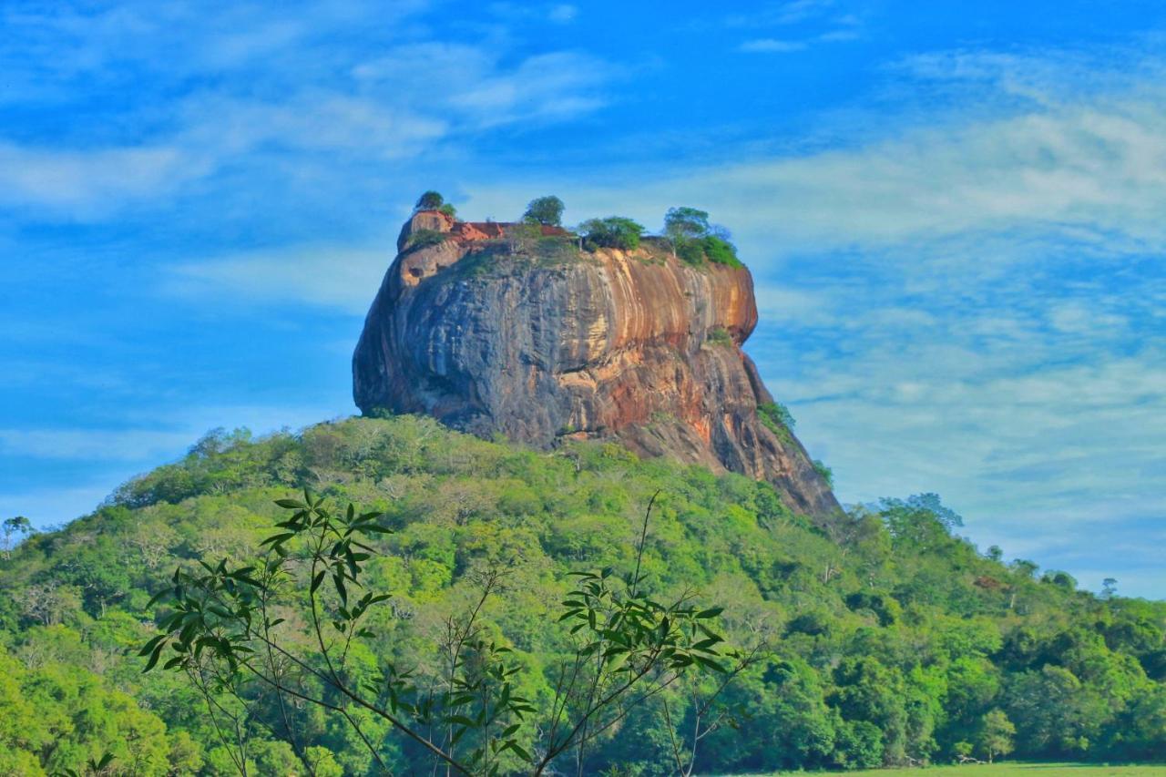 Sigiriya Free View Tree House & Villa المظهر الخارجي الصورة